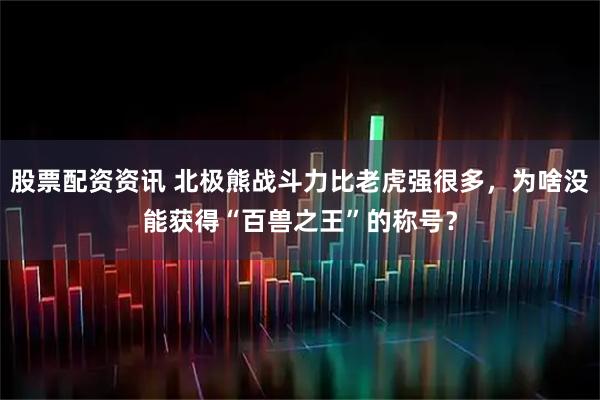 股票配资资讯 北极熊战斗力比老虎强很多，为啥没能获得“百兽之王”的称号？