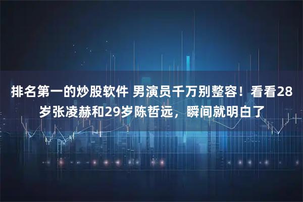 排名第一的炒股软件 男演员千万别整容！看看28岁张凌赫和29岁陈哲远，瞬间就明白了